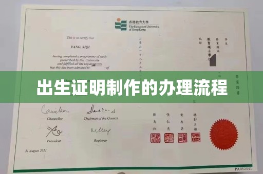 故城出生证明制作的办理流程