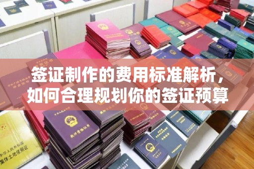 故城签证制作的费用标准解析，如何合理规划你的签证预算