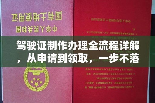 故城驾驶证制作办理全流程详解，从申请到领取，一步不落